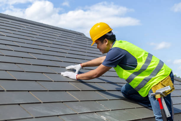 Best Roof Maintenance Services  in Dexter, GA