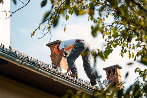Professional Roofing Contractor in Dexter, GA