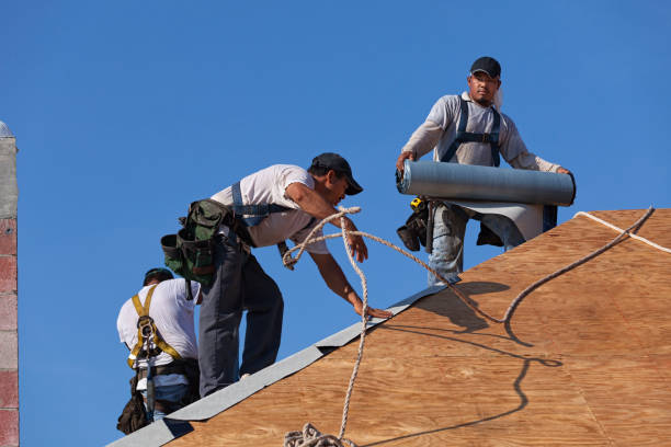 Best Best Roofing Contractors  in Dexter, GA