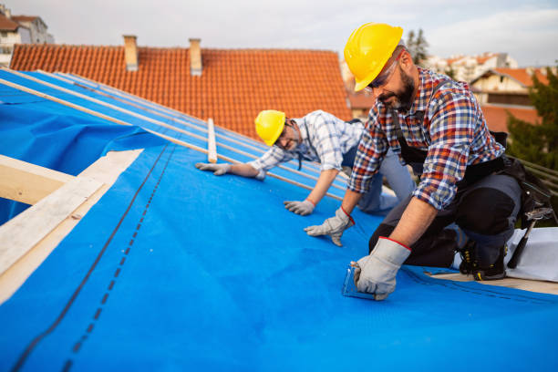 Best Metal Roofing Contractor  in Dexter, GA