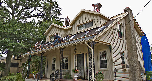 Best Gutter Installation and Roofing  in Dexter, GA