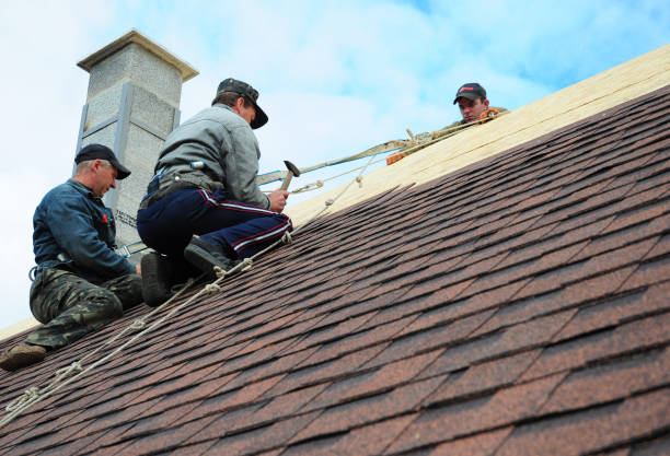 Best Residential Roof Replacement  in Dexter, GA